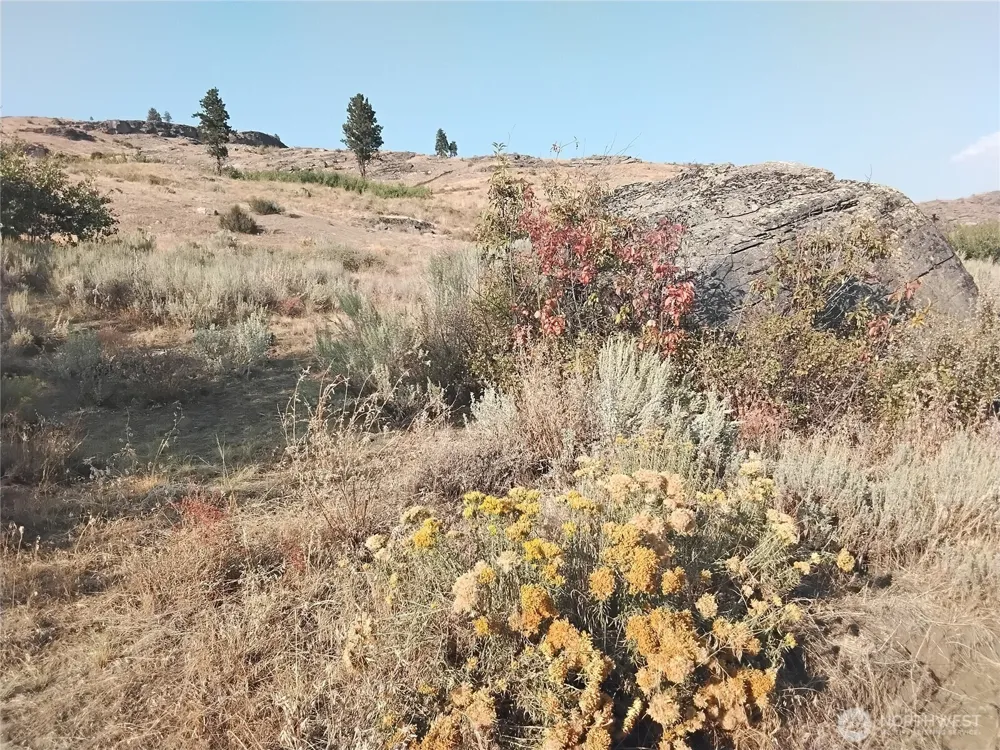4 Painted Rock Road Tonasket, WA 98855
