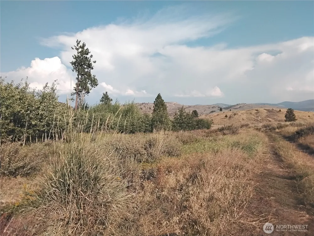 4 Painted Rock Road Tonasket, WA 98855