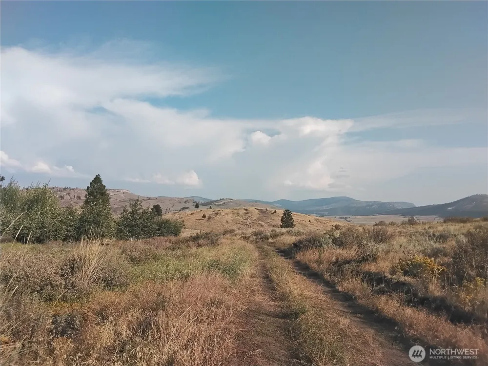 4 Painted Rock Road Tonasket, WA 98855