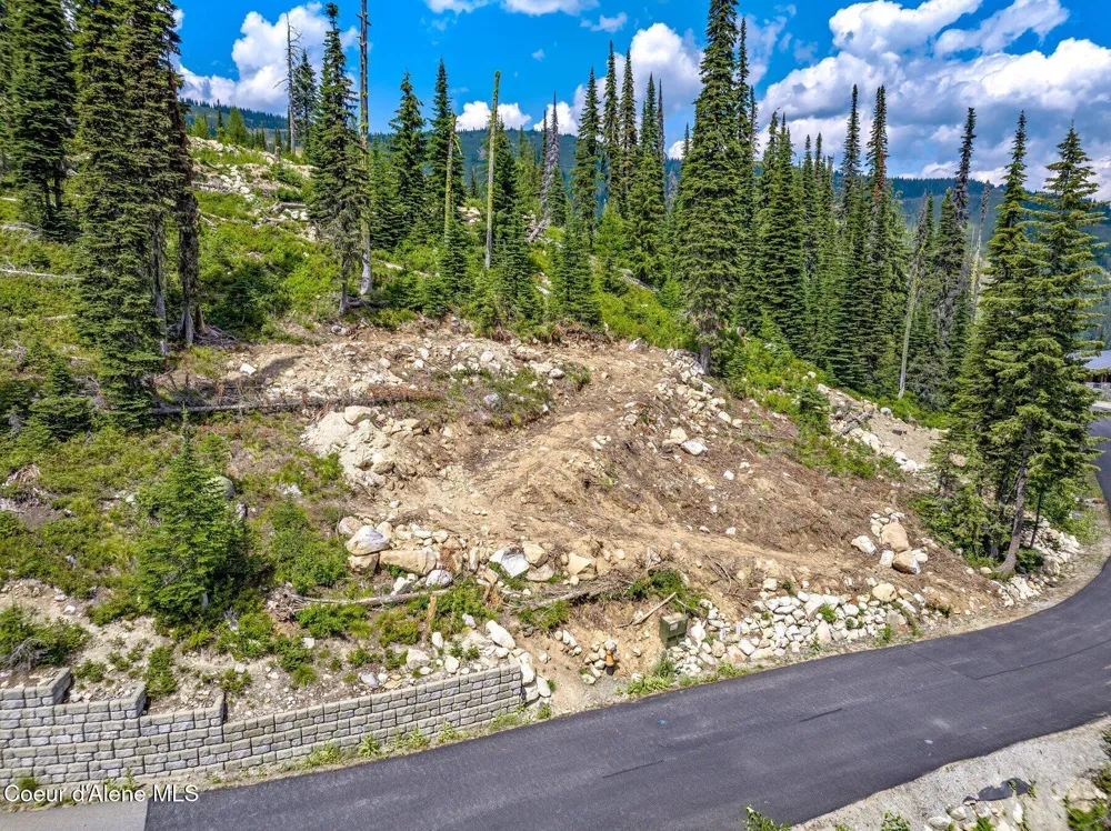 12 Wyvern Way Sandpoint, ID 83864