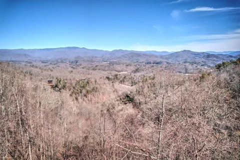 Freeman Overlook