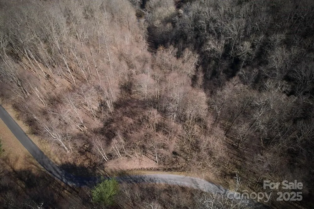 Lot 6A Freeman Overlook Almond, NC 28702