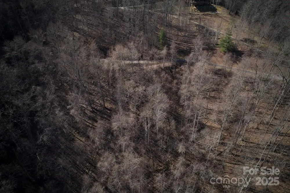 Lot 6A Freeman Overlook Almond, NC 28702