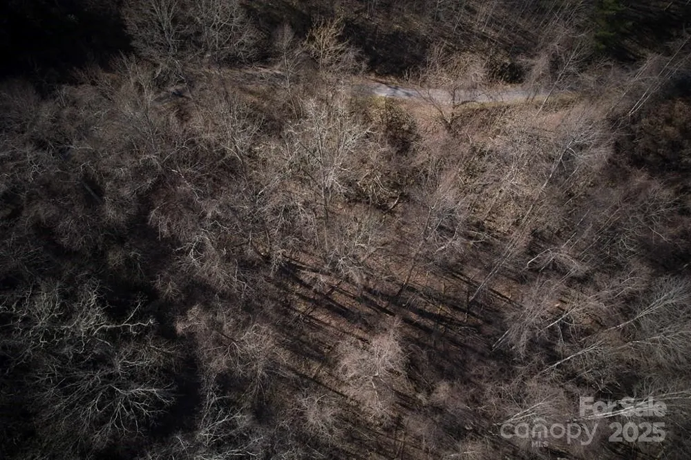 Lot 6A Freeman Overlook Almond, NC 28702