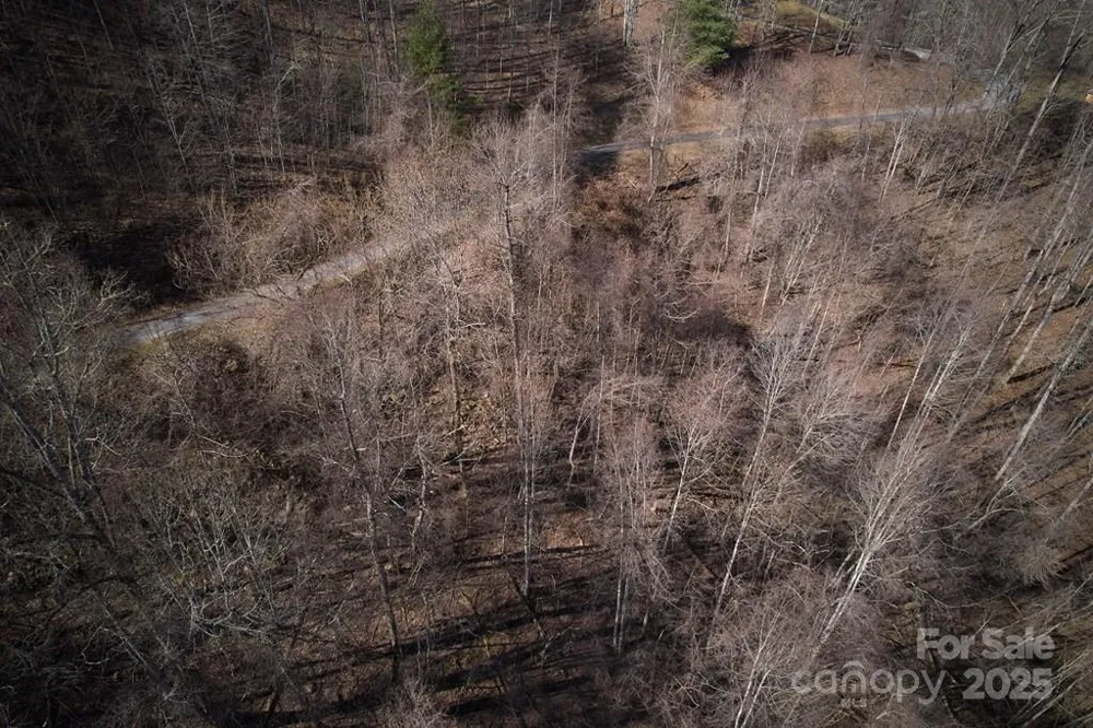 Lot 6A Freeman Overlook Almond, NC 28702