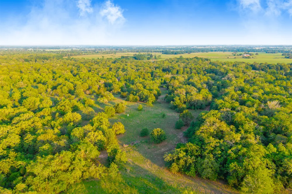 S HWY 77 Rockdale, TX 76567