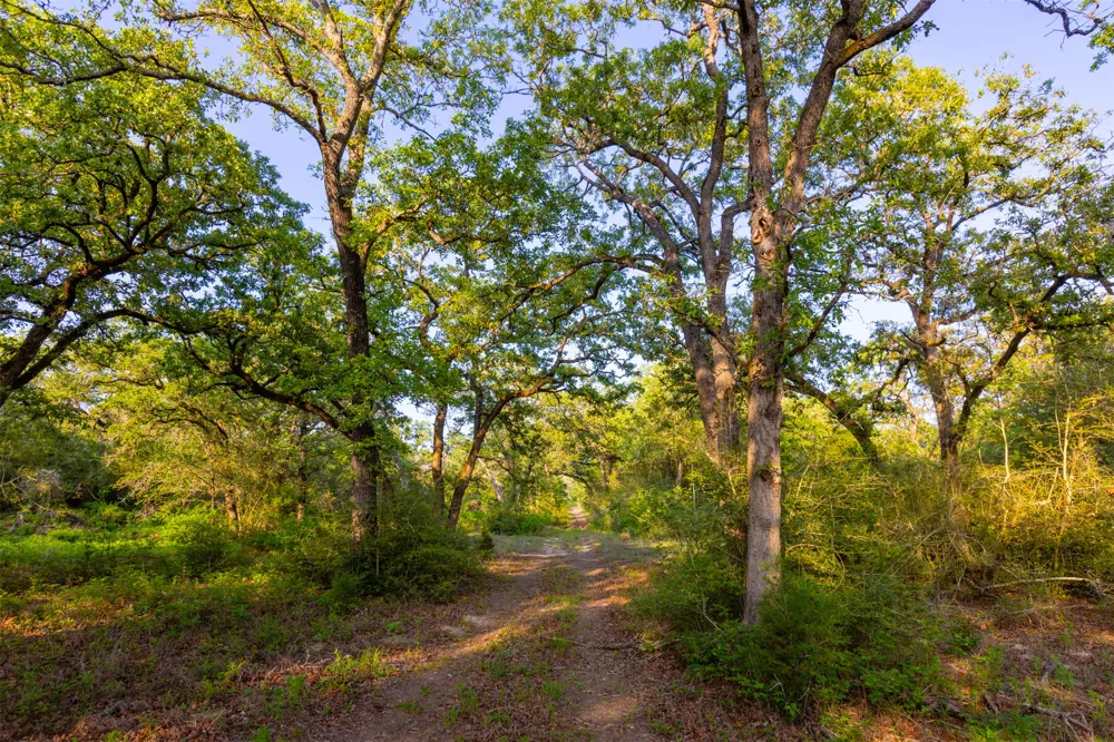 S HWY 77 Rockdale, TX 76567
