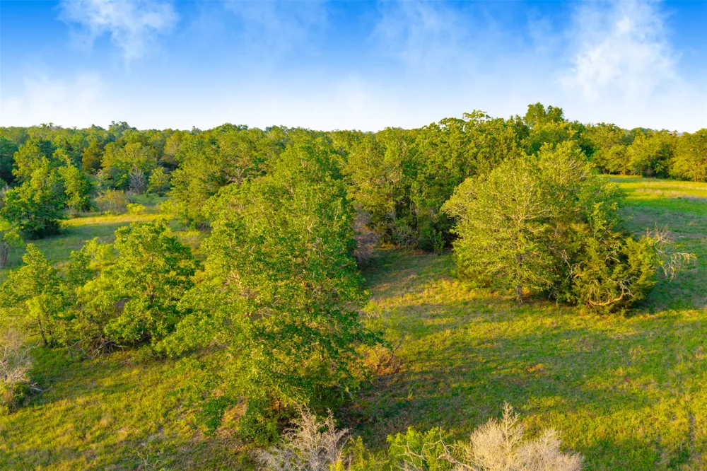 S HWY 77 Rockdale, TX 76567