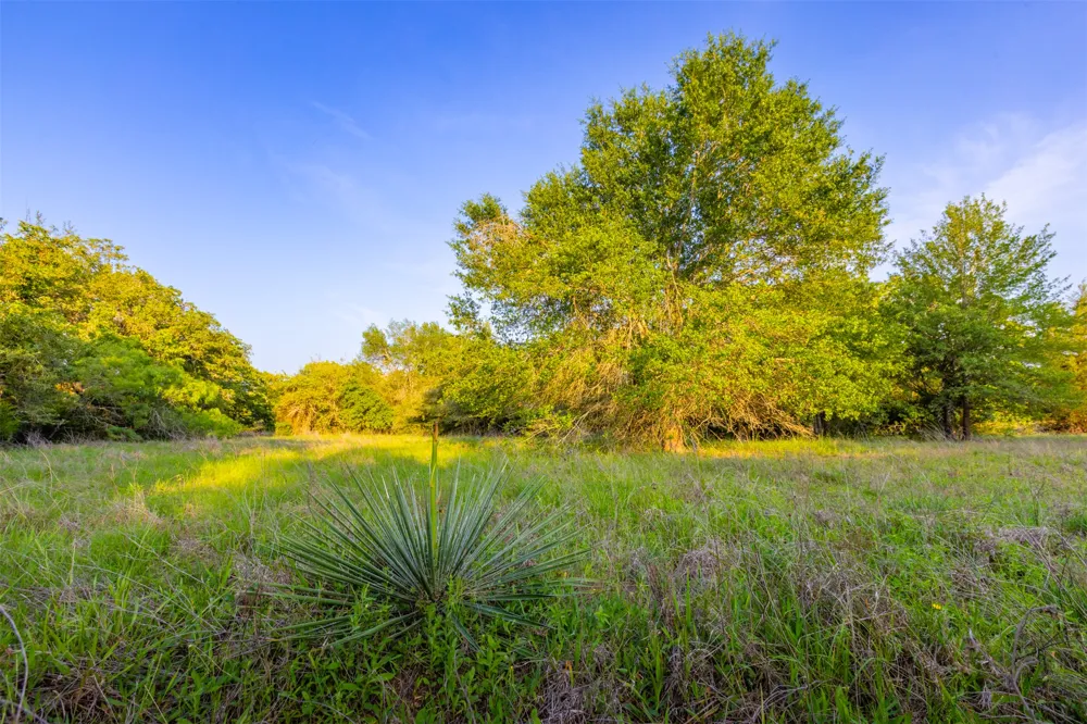 S HWY 77 Rockdale, TX 76567