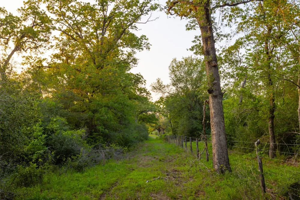 S HWY 77 Rockdale, TX 76567