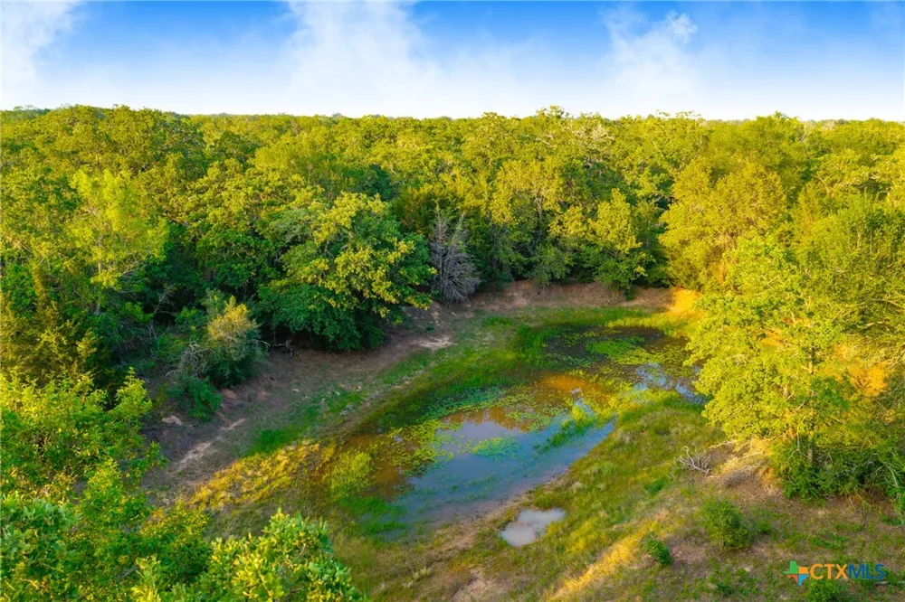 S. Hwy 77 Rockdale, TX 76567
