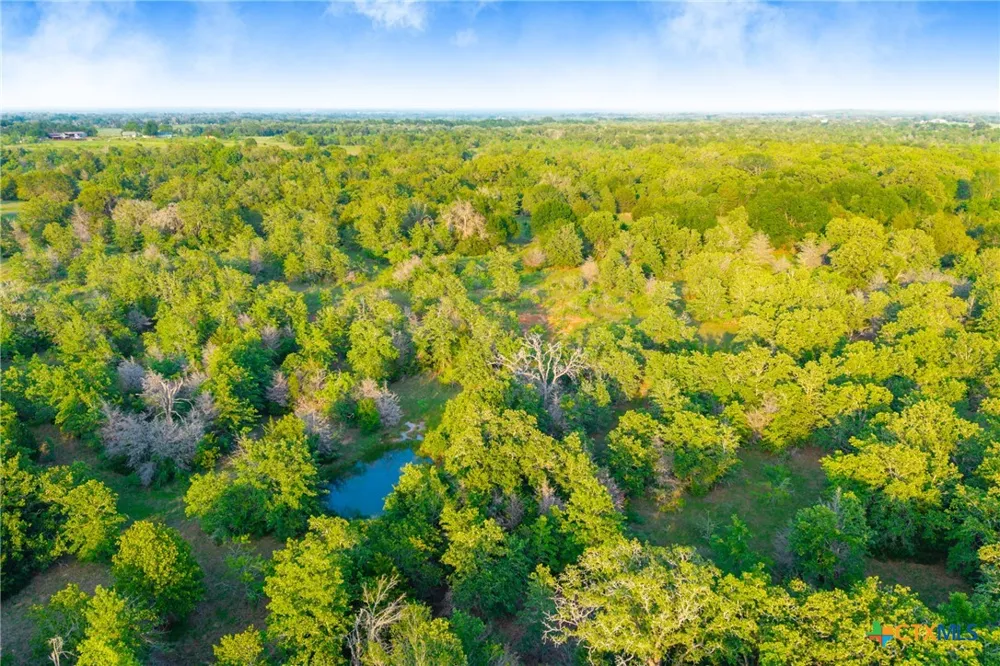 S. Hwy 77 Rockdale, TX 76567