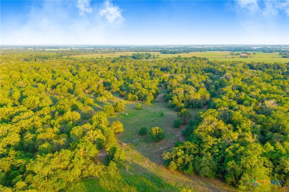 S. Hwy 77 Rockdale, TX 76567