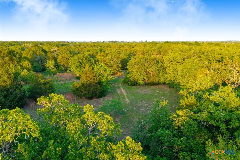 S. Hwy 77 Rockdale, TX 76567