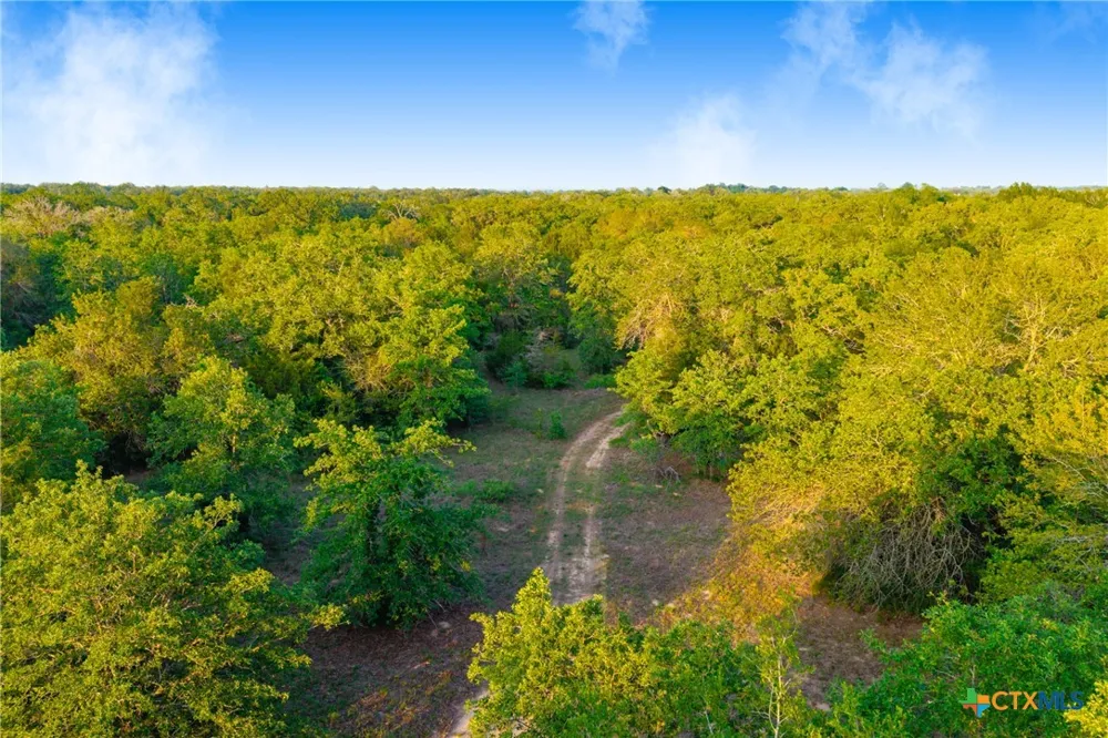 S. Hwy 77 Rockdale, TX 76567