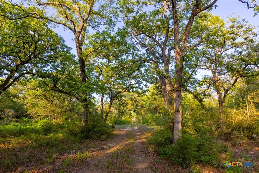 S. Hwy 77 Rockdale, TX 76567