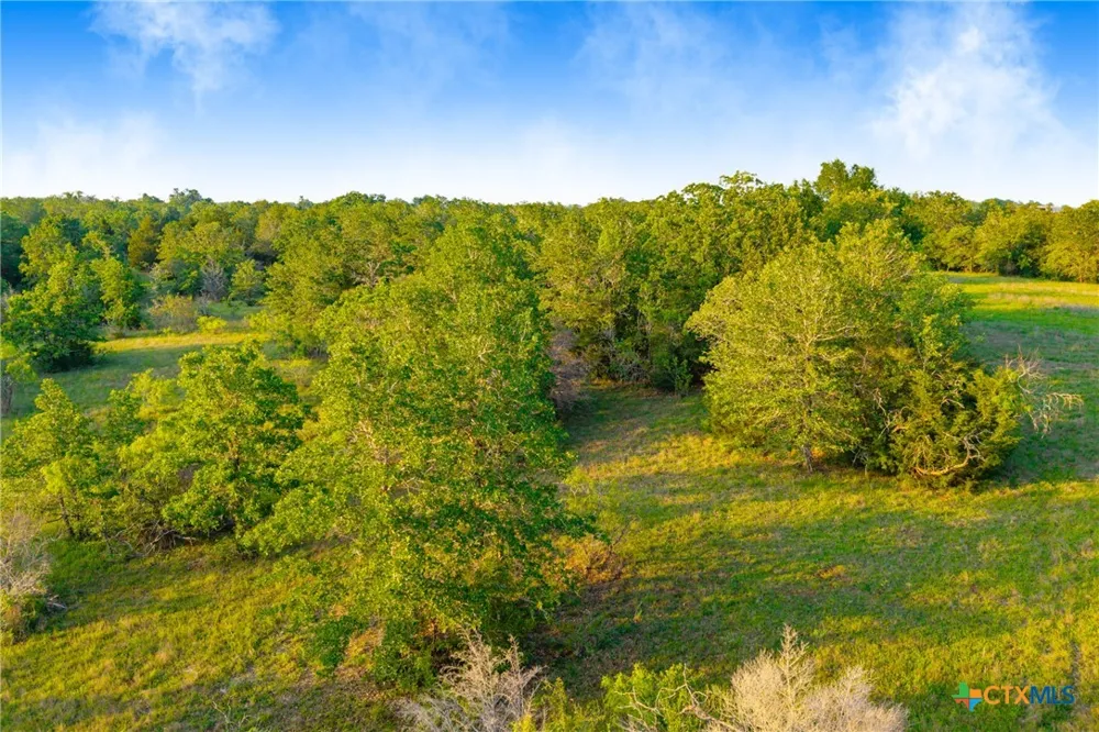 S. Hwy 77 Rockdale, TX 76567