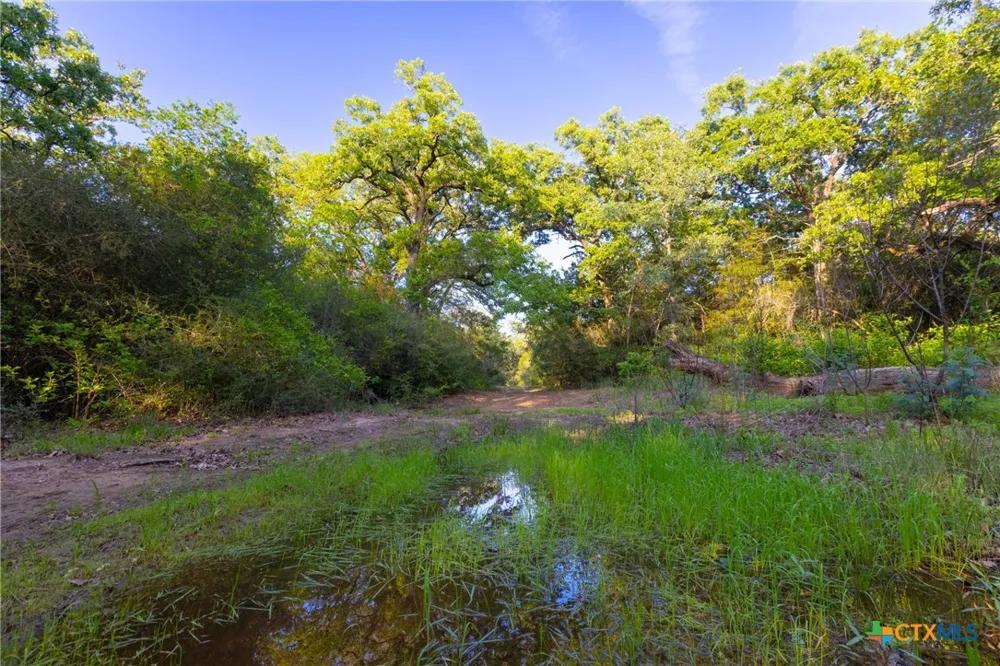 S. Hwy 77 Rockdale, TX 76567