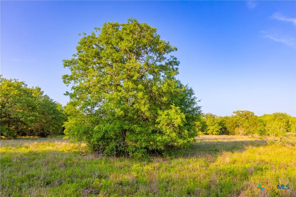 S. Hwy 77 Rockdale, TX 76567