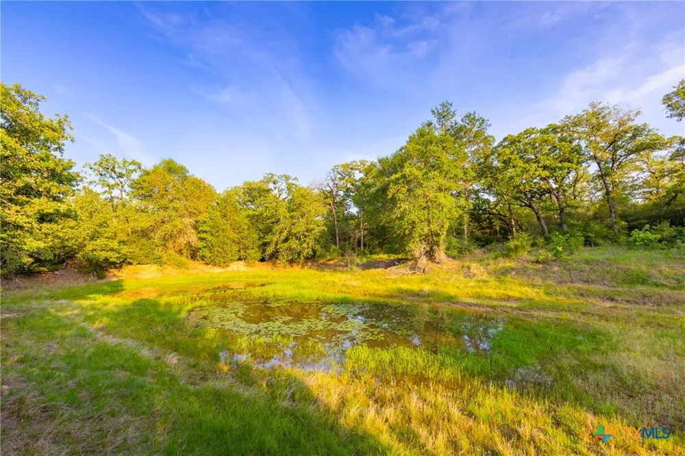 S. Hwy 77 Rockdale, TX 76567