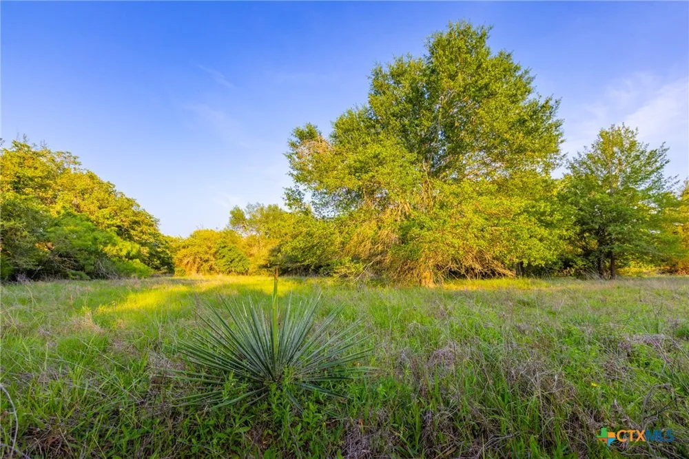 S. Hwy 77 Rockdale, TX 76567