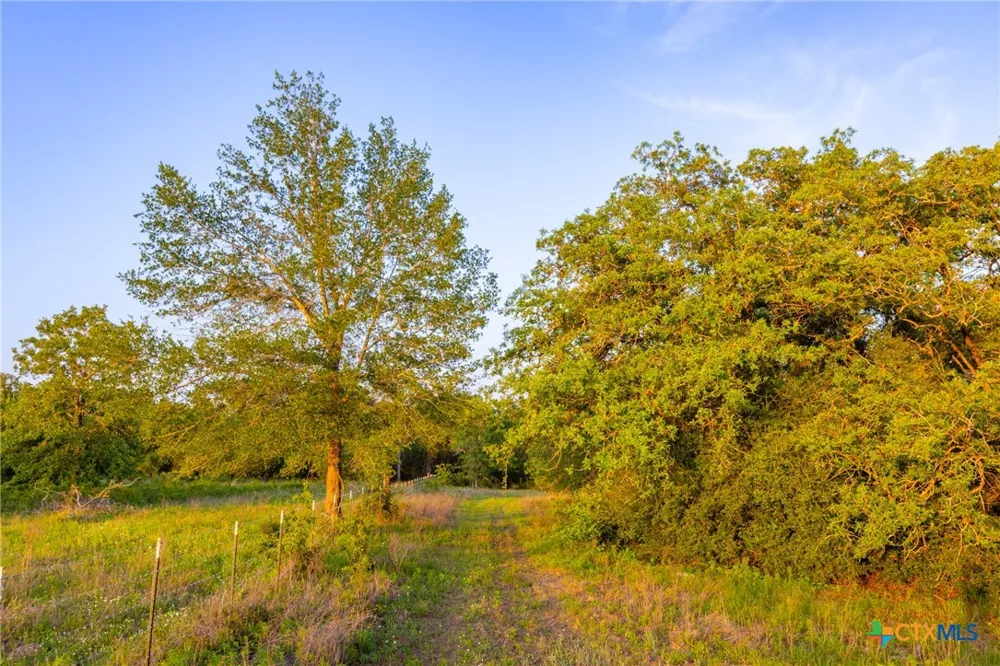 S. Hwy 77 Rockdale, TX 76567
