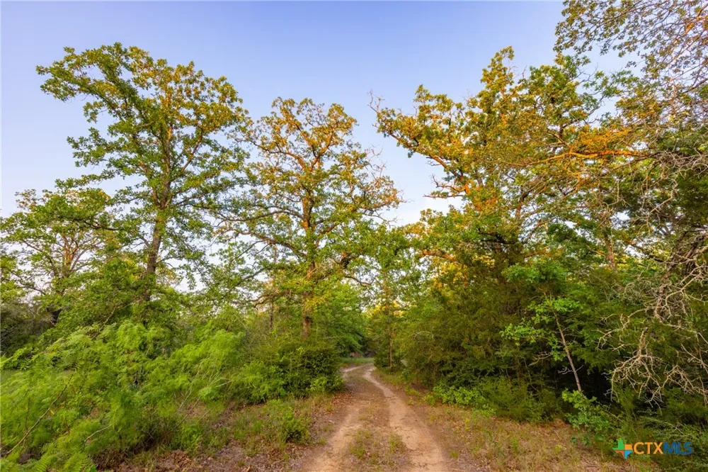 S. Hwy 77 Rockdale, TX 76567