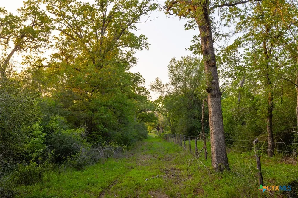 S. Hwy 77 Rockdale, TX 76567