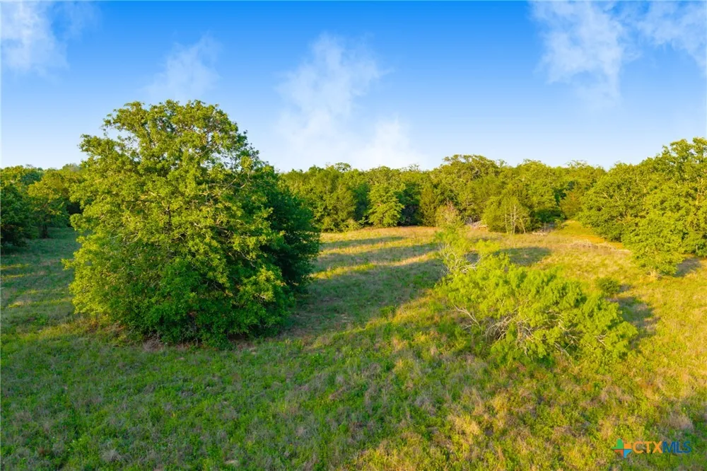 S. Hwy 77 Rockdale, TX 76567