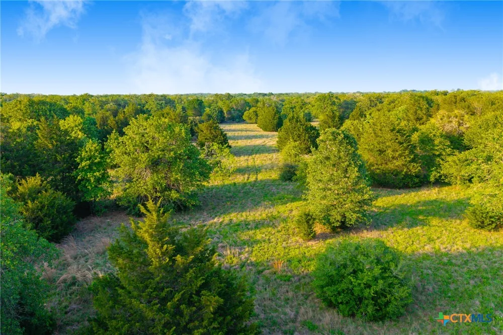 S. Hwy 77 Rockdale, TX 76567