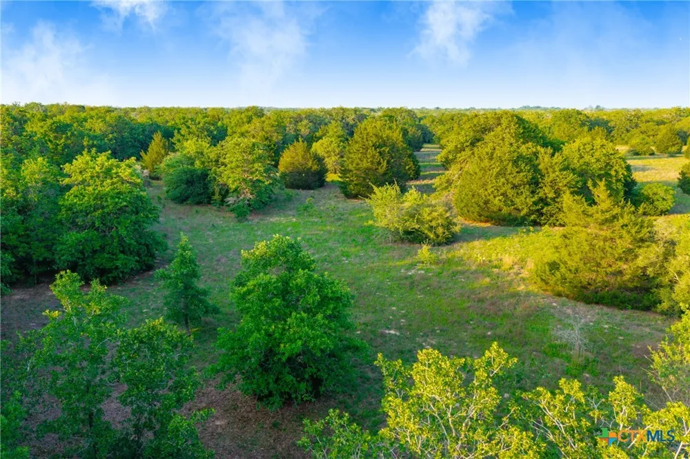 S. Hwy 77 Rockdale, TX 76567