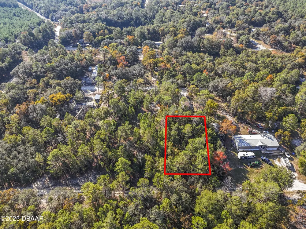 109 Lucas Street Satsuma, FL 32189