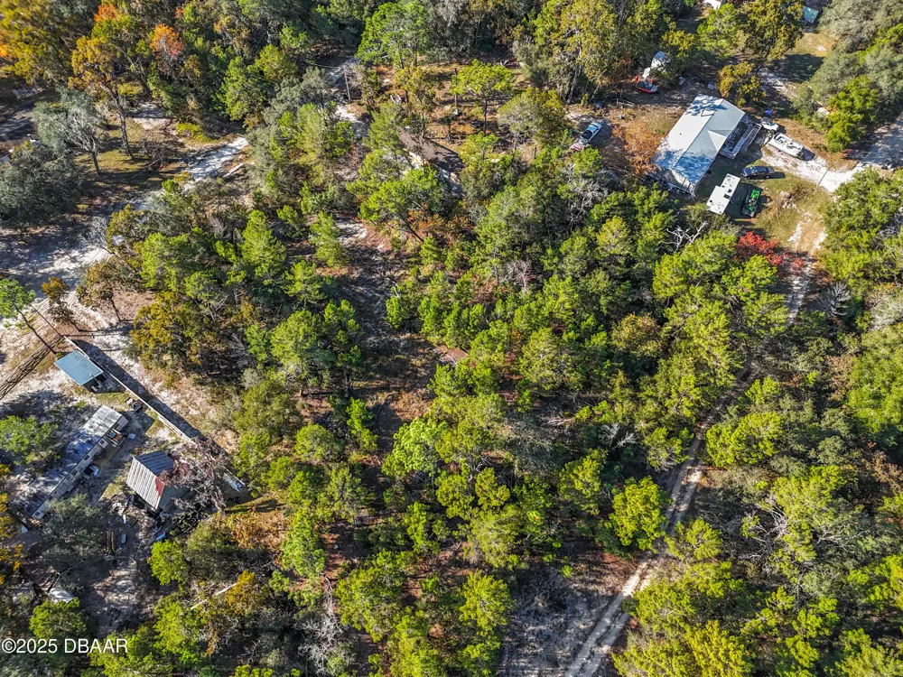 109 Lucas Street Satsuma, FL 32189