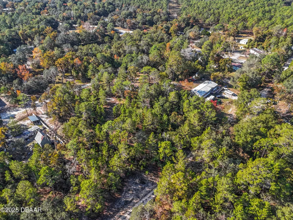 109 Lucas Street Satsuma, FL 32189