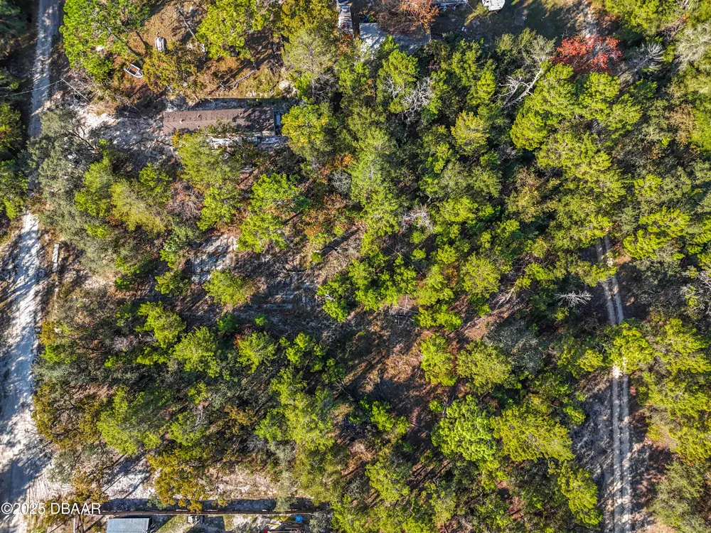 109 Lucas Street Satsuma, FL 32189