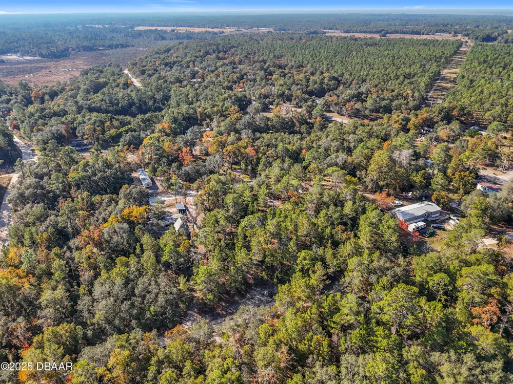 109 Lucas Street Satsuma, FL 32189