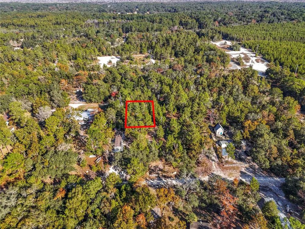 109 LUCAS STREET Satsuma, FL 32189