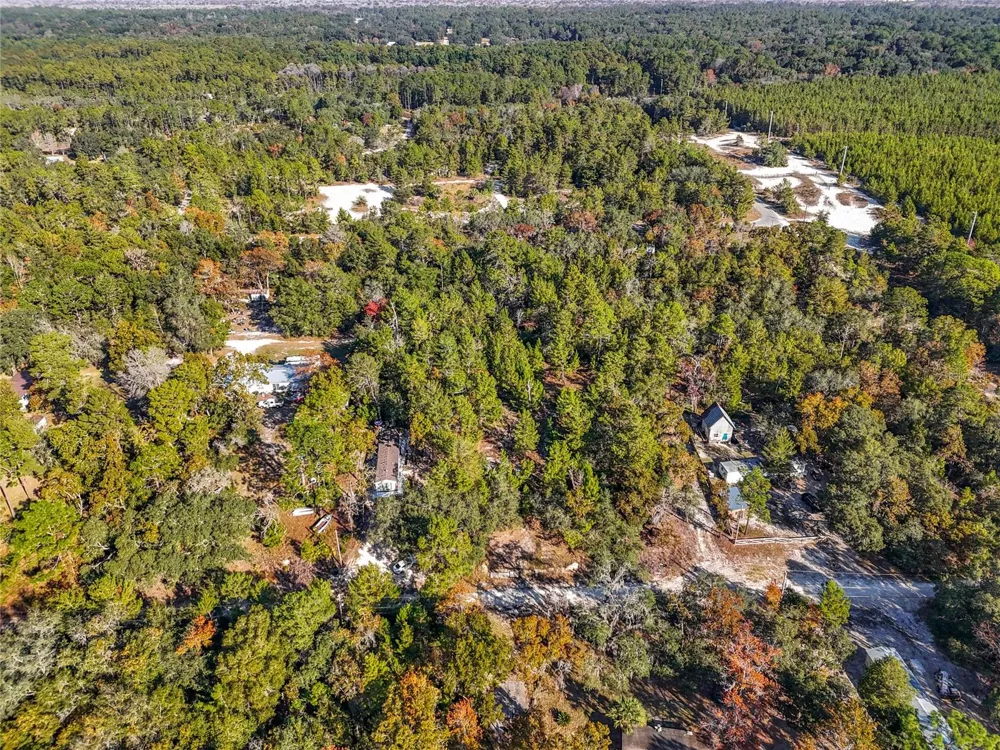 109 LUCAS STREET Satsuma, FL 32189