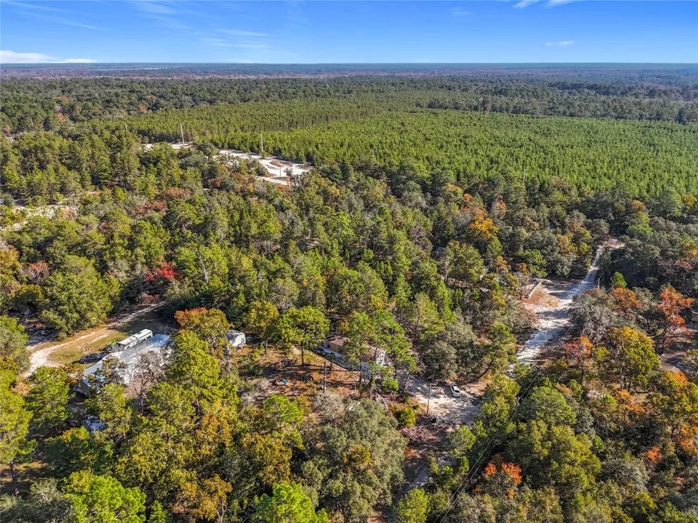 109 LUCAS STREET Satsuma, FL 32189