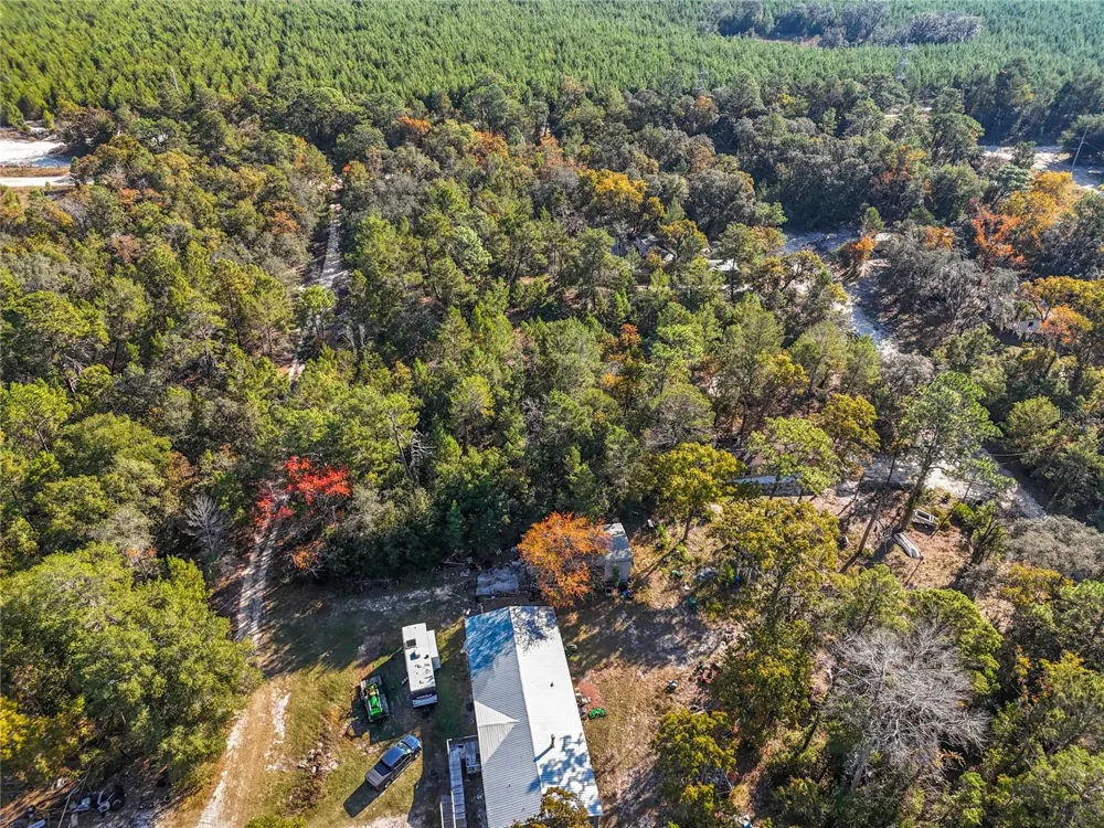 109 LUCAS STREET Satsuma, FL 32189
