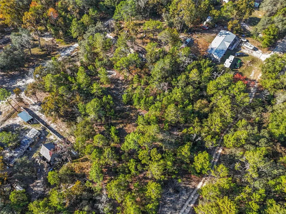 109 LUCAS STREET Satsuma, FL 32189