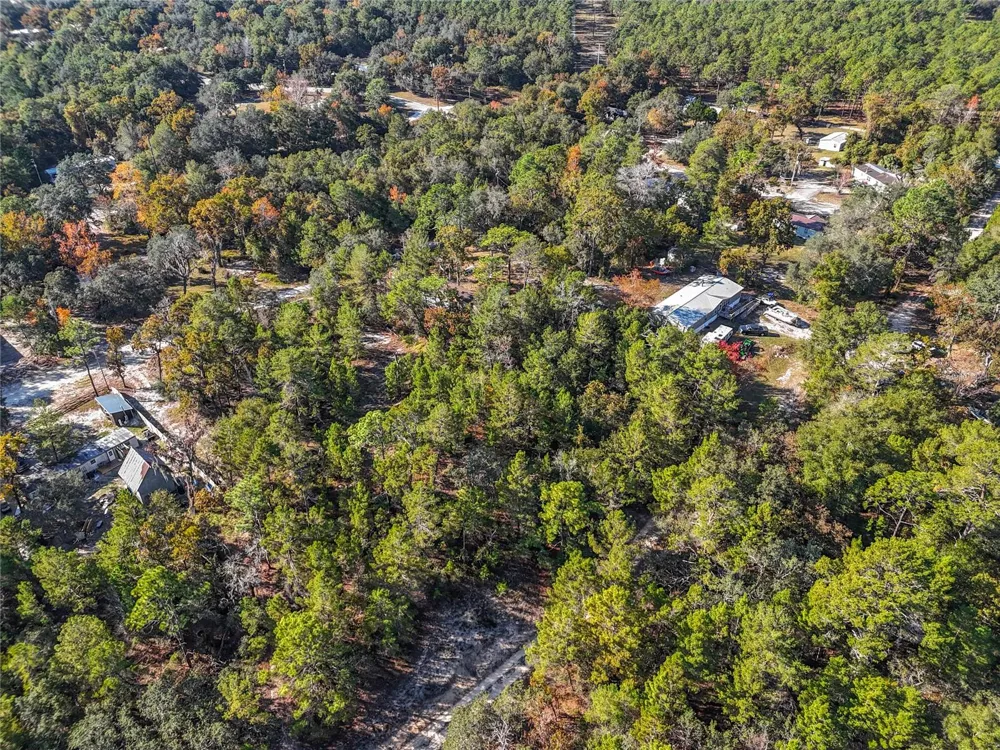 109 LUCAS STREET Satsuma, FL 32189