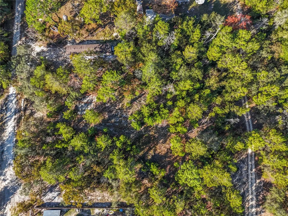 109 LUCAS STREET Satsuma, FL 32189