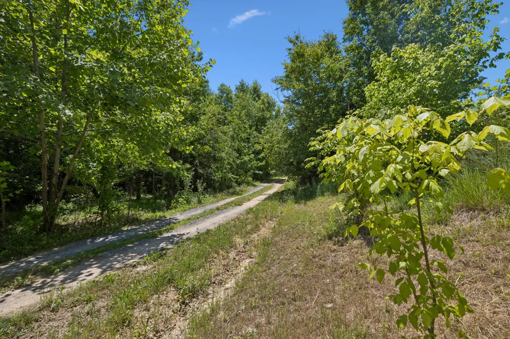 338 County Road 41 Calhoun, TN 37309