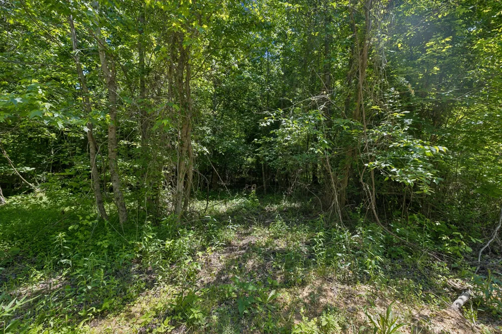 338 County Road 41 Calhoun, TN 37309