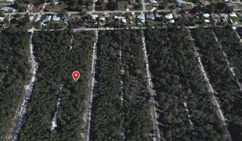 Hummingbird Avenue
