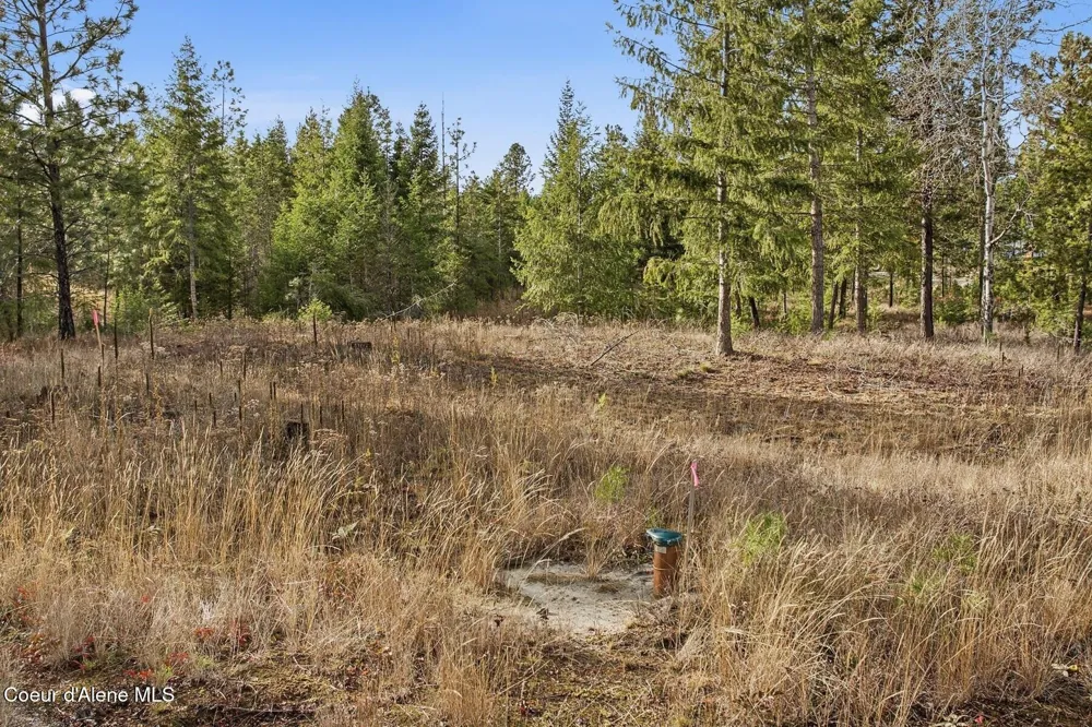 Lot 3 Poulton Way Bonners Ferry, ID 83805