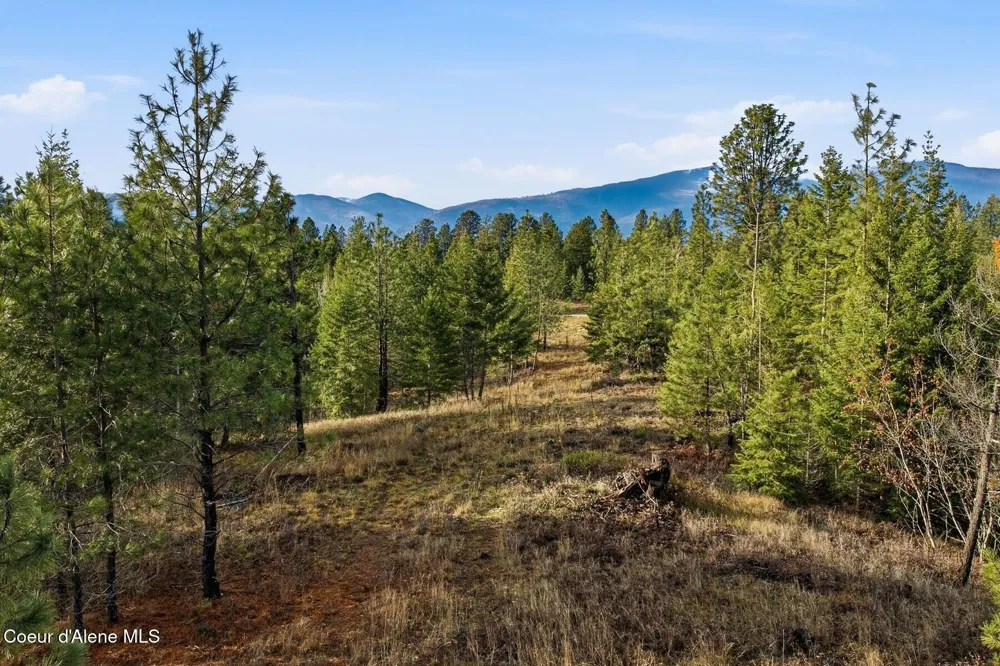 Lot 3 Poulton Way Bonners Ferry, ID 83805