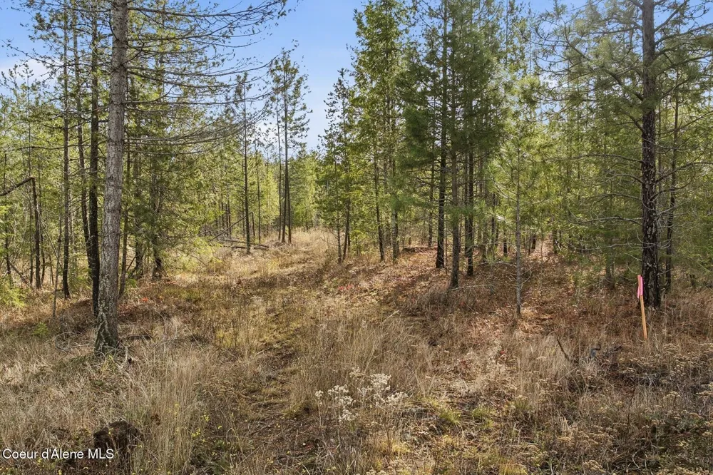 Lot 3 Poulton Way Bonners Ferry, ID 83805