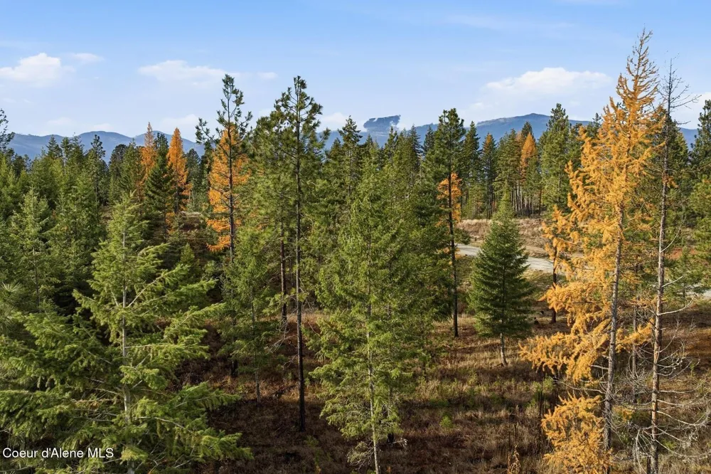 Lot 3 Poulton Way Bonners Ferry, ID 83805